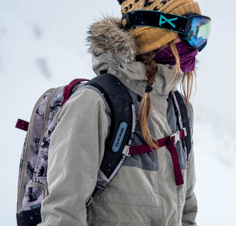 Dakine ski backpack