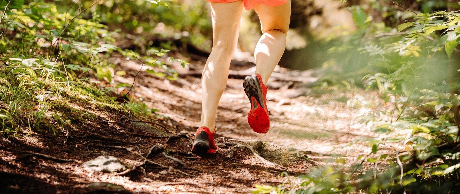 Trail runners wearing trail shoes on a mountain path