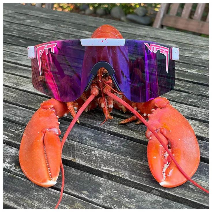 Purple Sunglasses